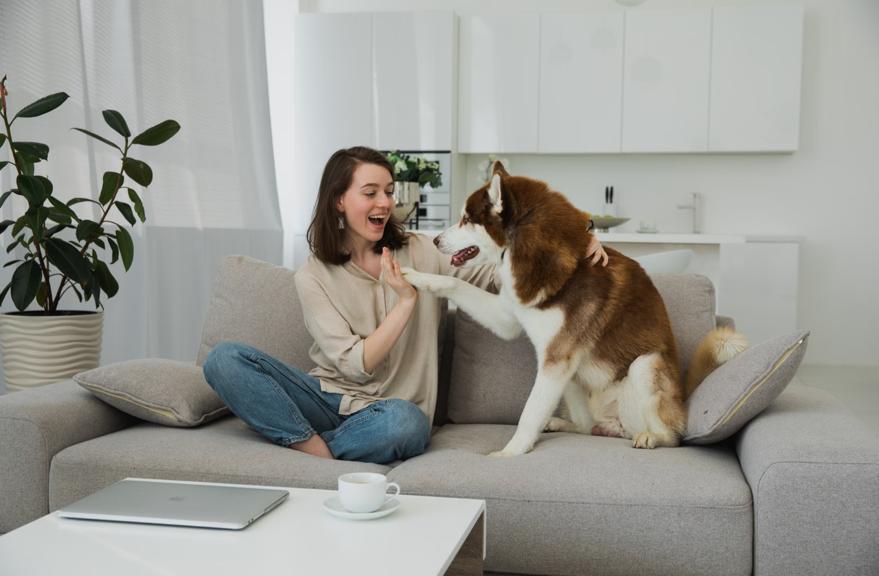 Why Pet Brands Use a China Fulfillment Center in 2026