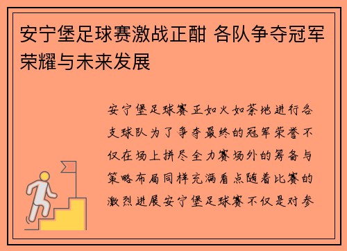 安宁堡足球赛激战正酣 各队争夺冠军荣耀与未来发展
