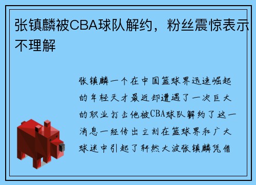张镇麟被CBA球队解约，粉丝震惊表示不理解