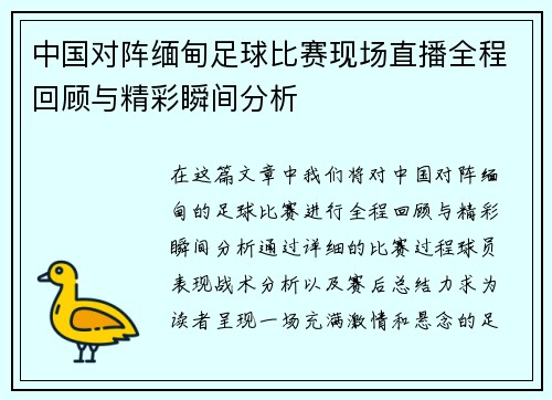 中国对阵缅甸足球比赛现场直播全程回顾与精彩瞬间分析