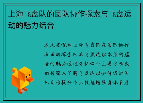 上海飞盘队的团队协作探索与飞盘运动的魅力结合